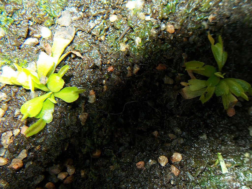 100_8901_zps5fb4e757.jpg