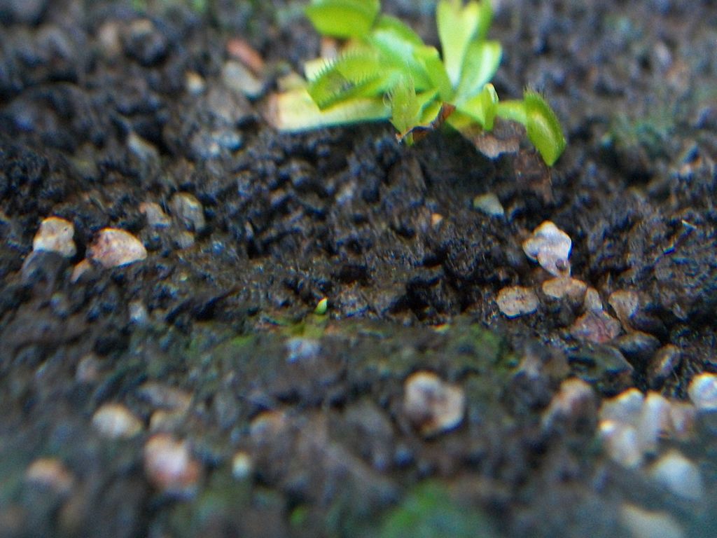 100_8906_zps2aa011d1.jpg