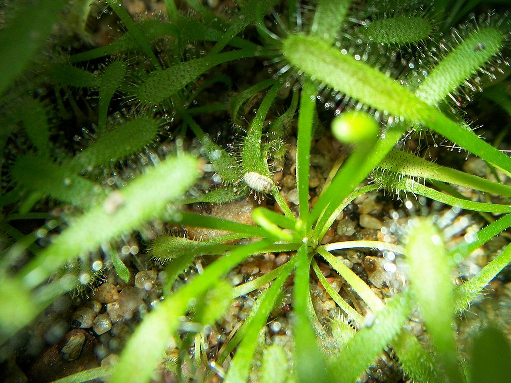 100_8974_zps5656073b.jpg