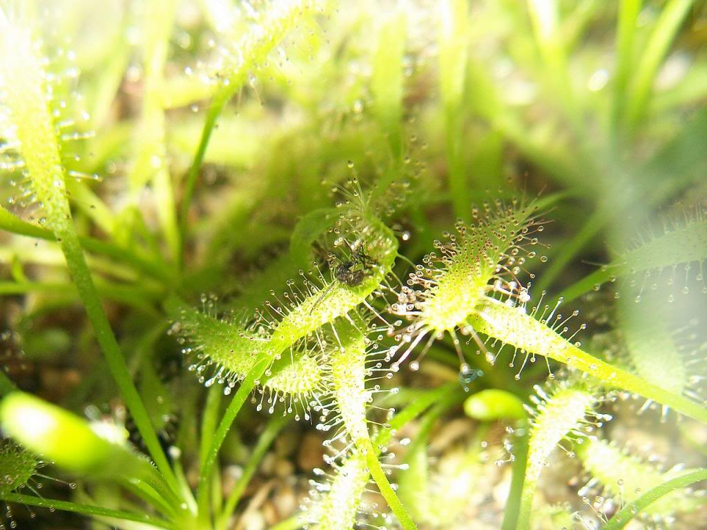 100_8978_zps9d969820.jpg
