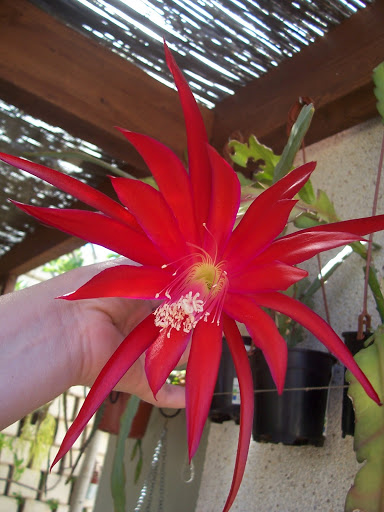 100_8979.jpg