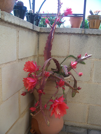 100_9067.jpg