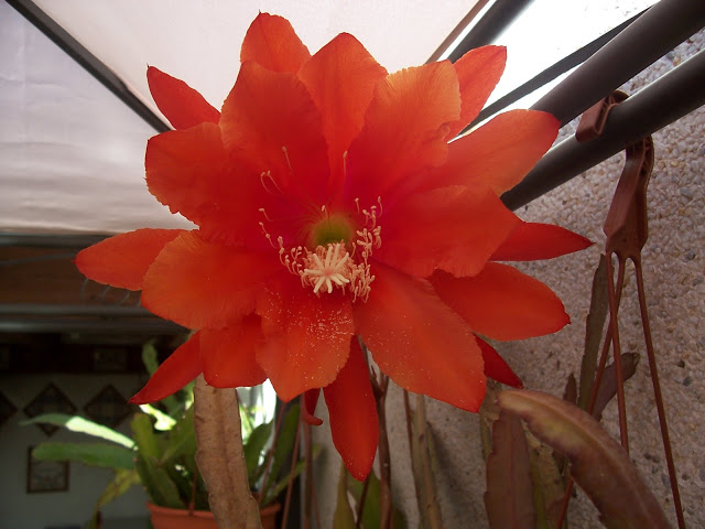 100_9091.jpg
