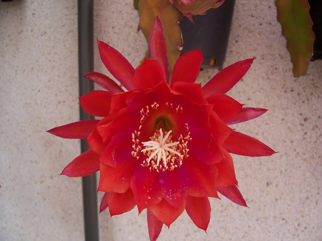 100_9172.jpg