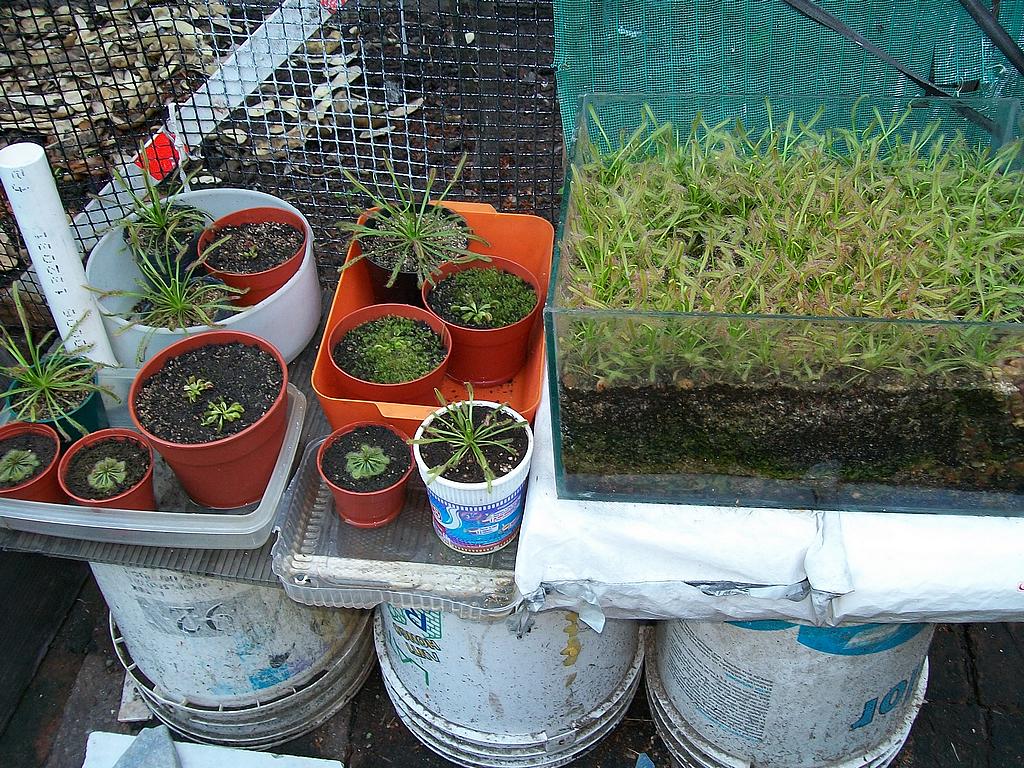 100_9307_zps14926ec1.jpg