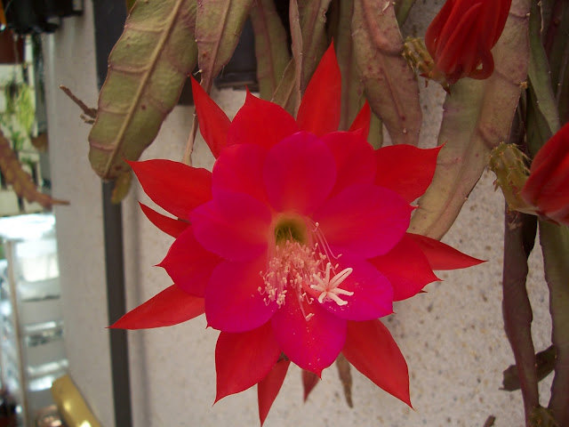 100_9317.jpg