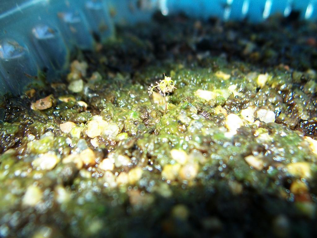 100_9318_zpscdc7dafe.jpg
