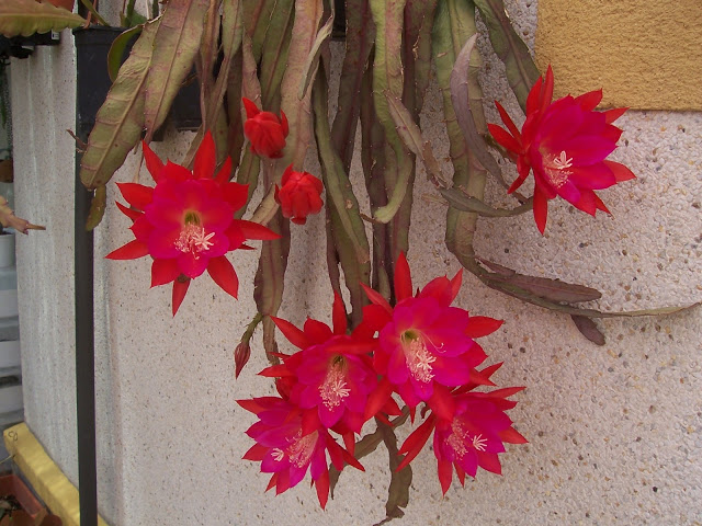 100_9335.jpg