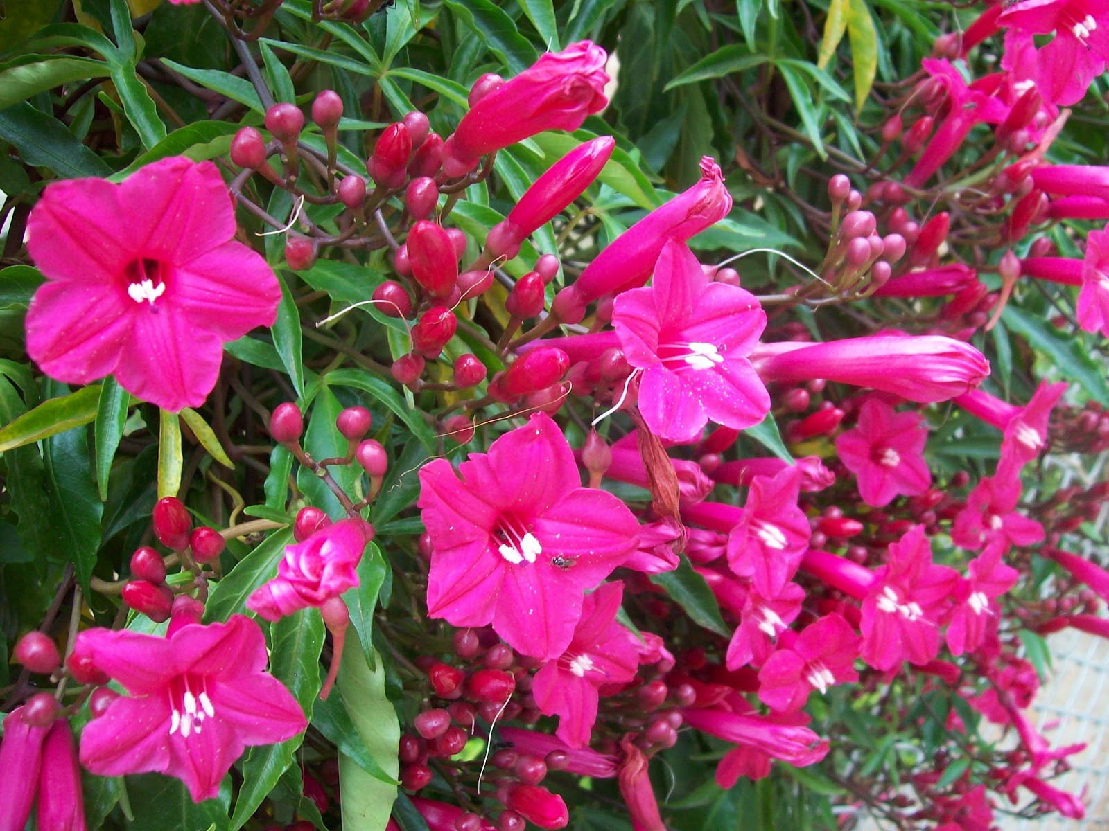 100_9719.jpg