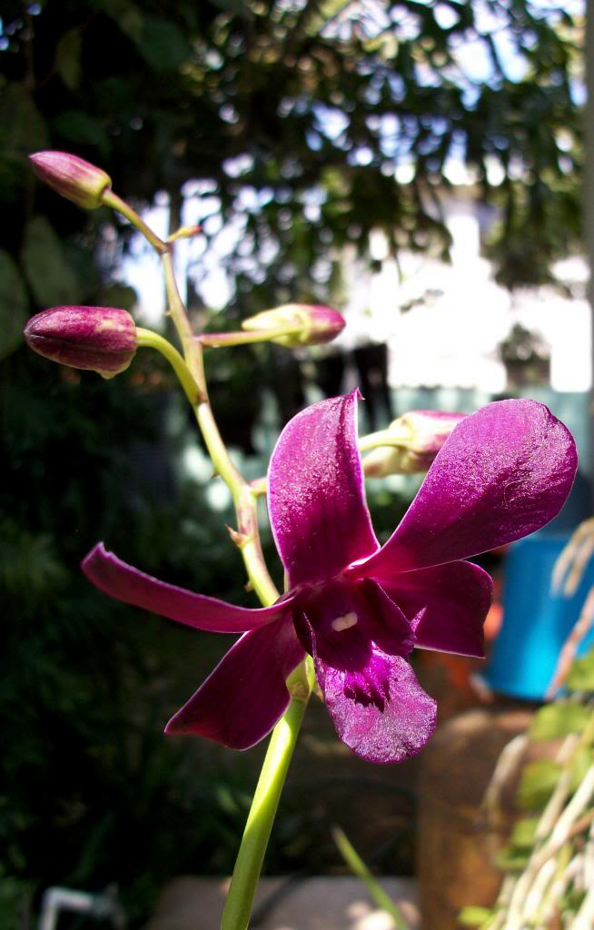 100_9941.jpg