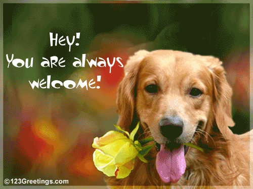 1012-042-12-1084.gif