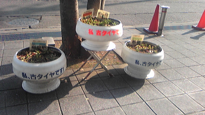 101228_1052011.jpg