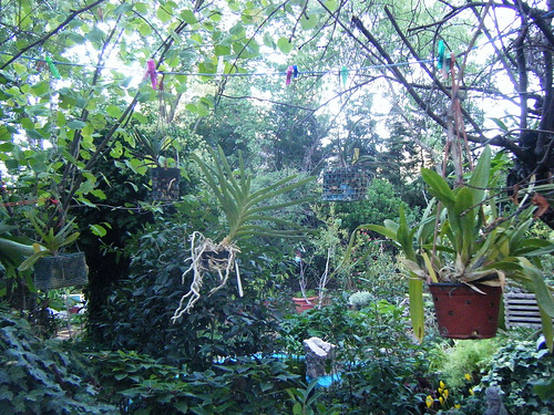 10135788313_9550da870c.jpg