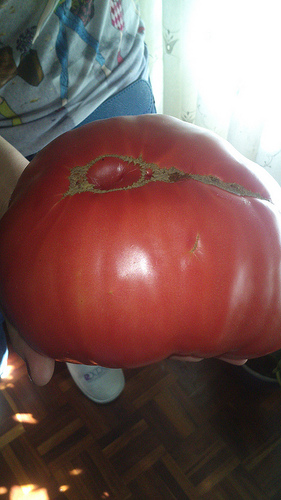 10140924176_befd3628bd.jpg