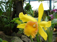 1019962366_48c8547265_m.jpg