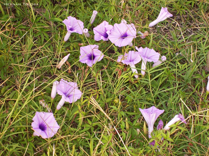 101_4126.jpg