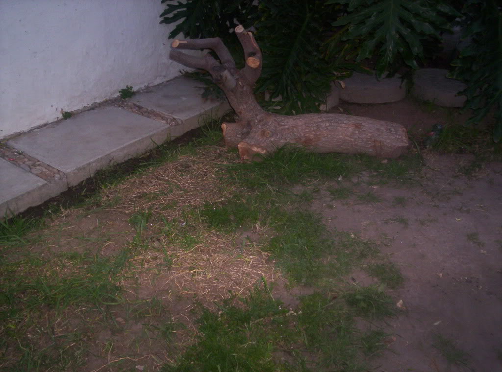 101_4504.jpg