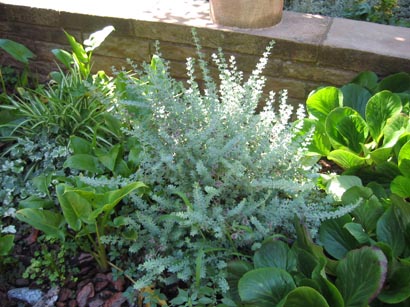 102-0245_IMG.jpg