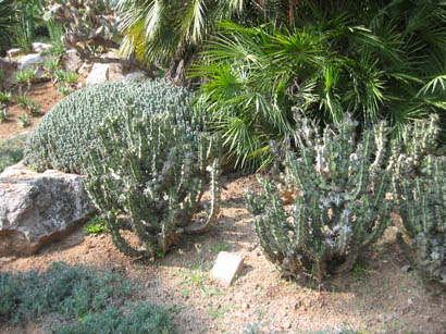 102-0264_IMG.jpg
