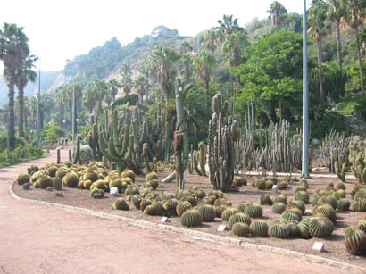 102-0266_IMG.jpg