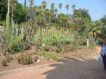 102-0271_IMG.jpg