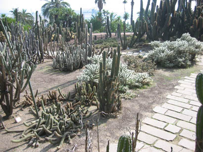 102-0293_IMG.jpg