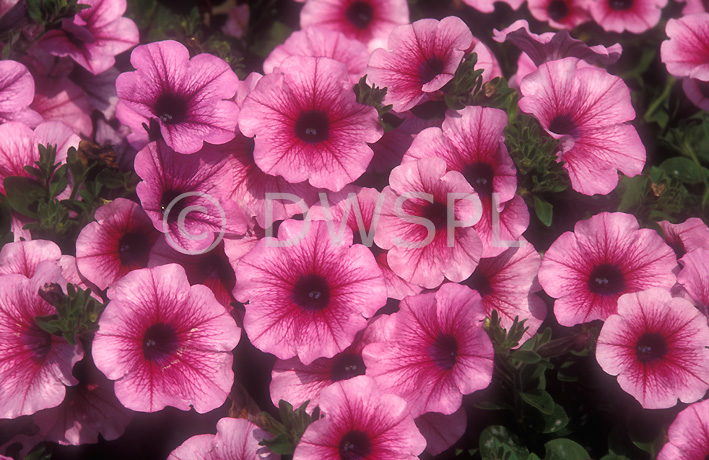 102505b.jpg