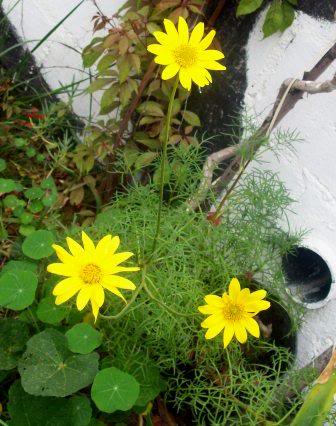 102_3116.jpg