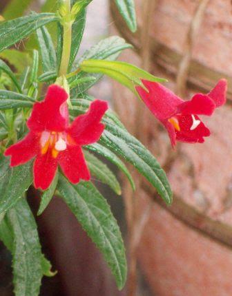 102_3126.jpg