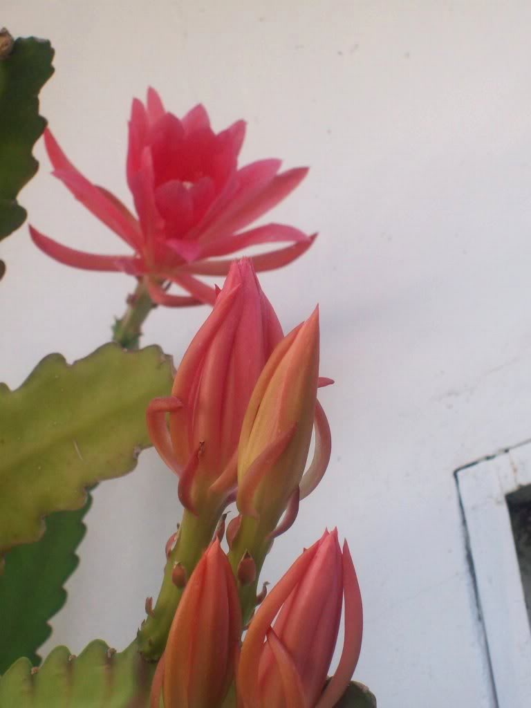 102_4356.jpg