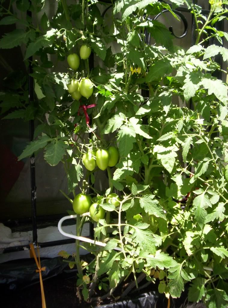 102_4788.jpg