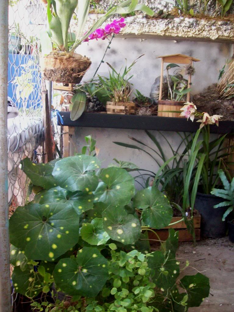 102_4824.jpg