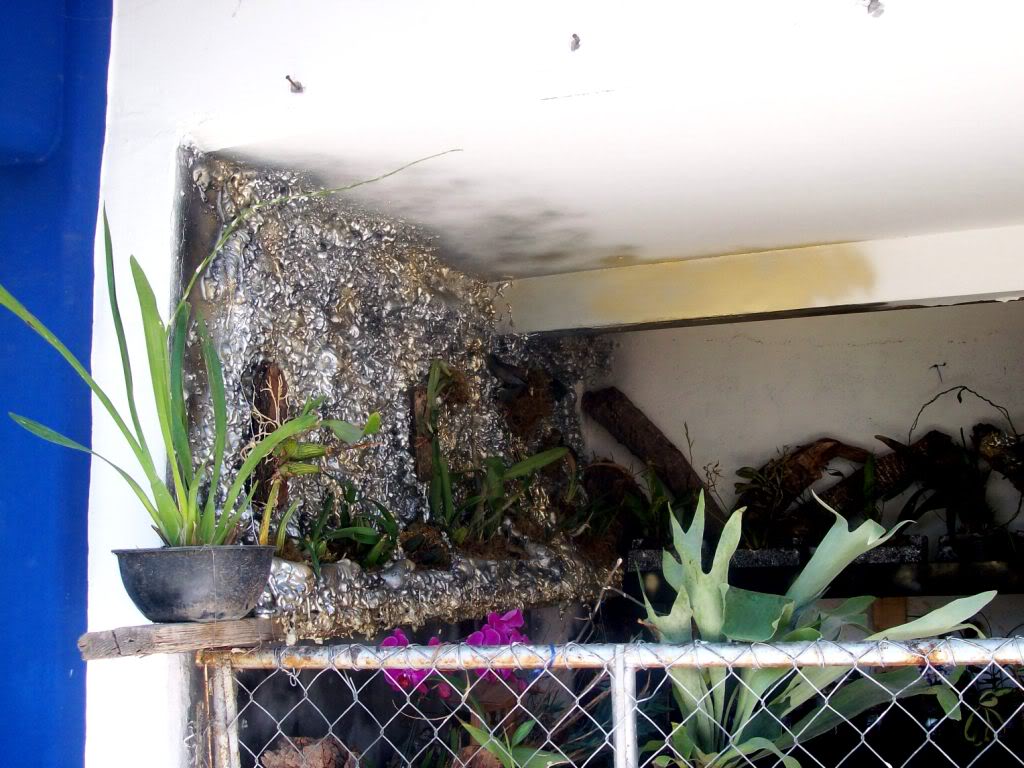 102_4825.jpg
