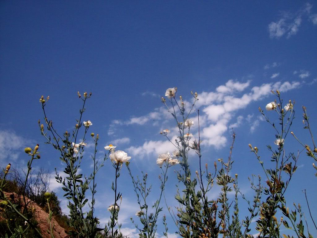 102_5700.jpg