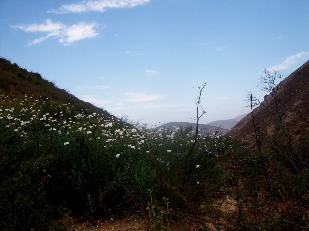102_5712.jpg