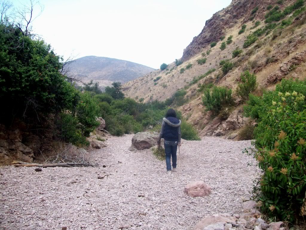 102_5715.jpg