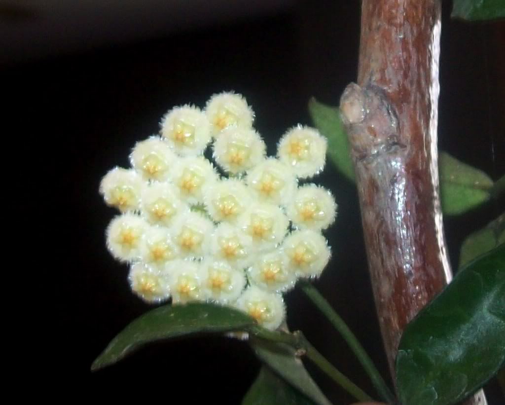102_6183.jpg