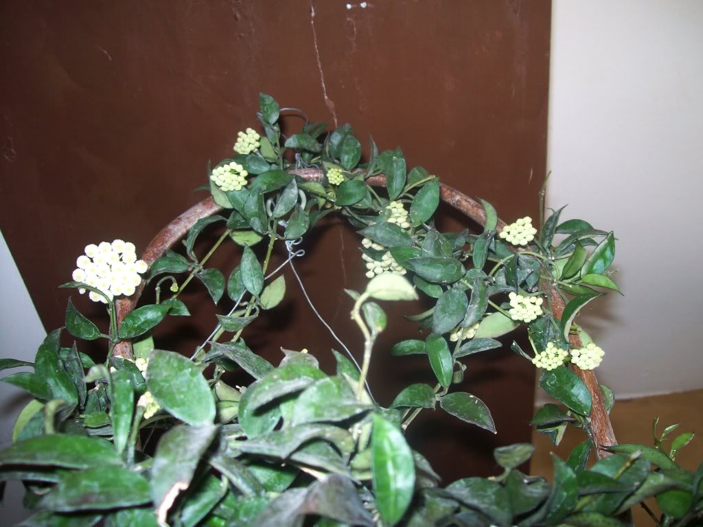 102_6188.jpg