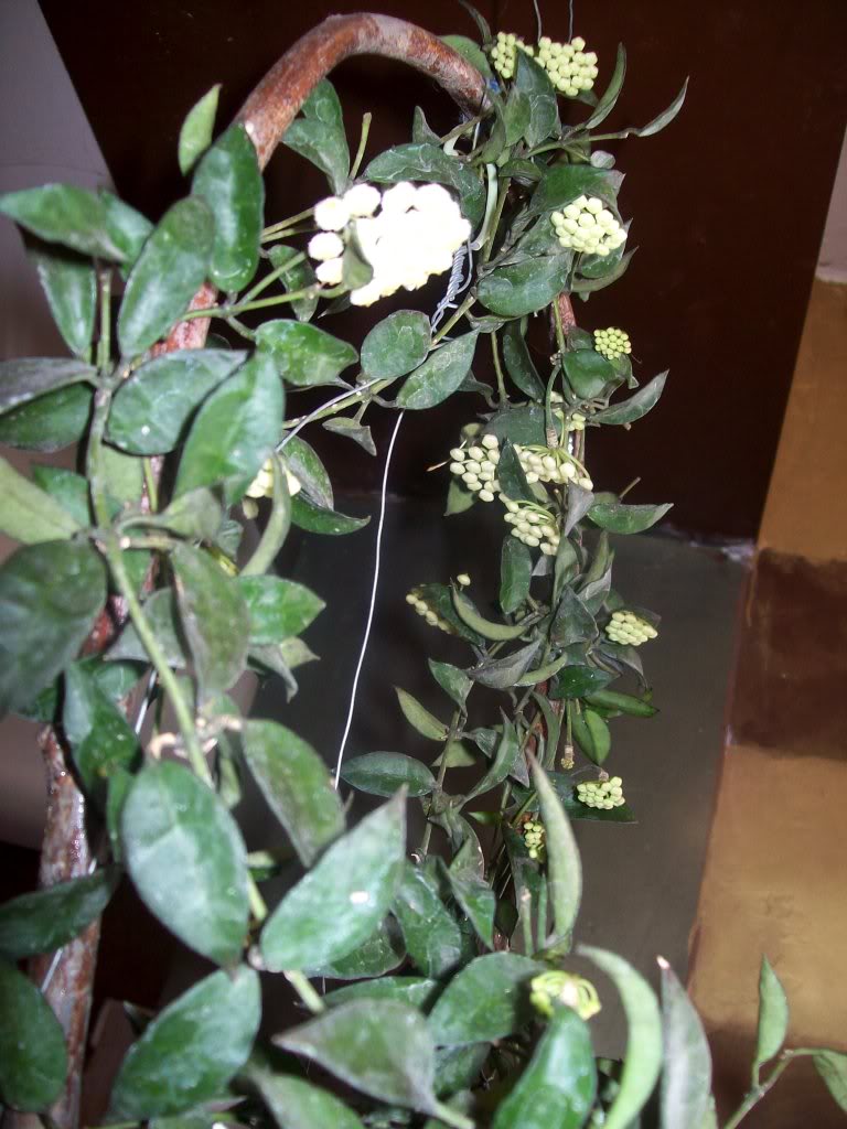 102_6189.jpg