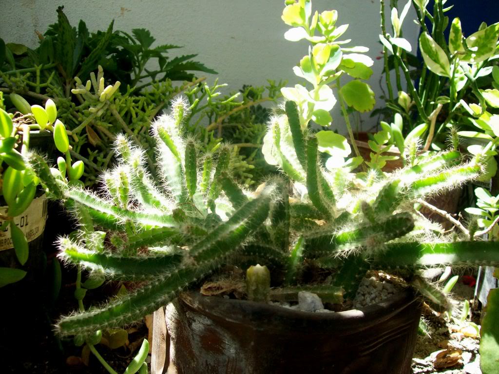 102_6264.jpg