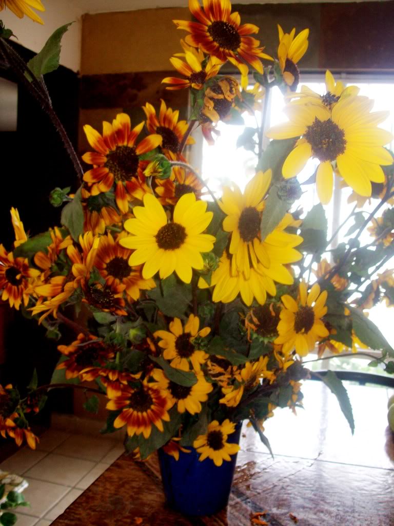 102_6594.jpg