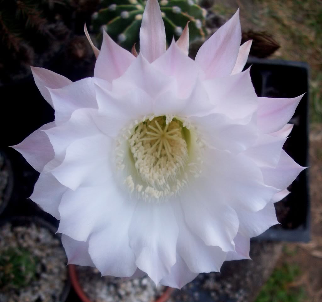 102_6746.jpg