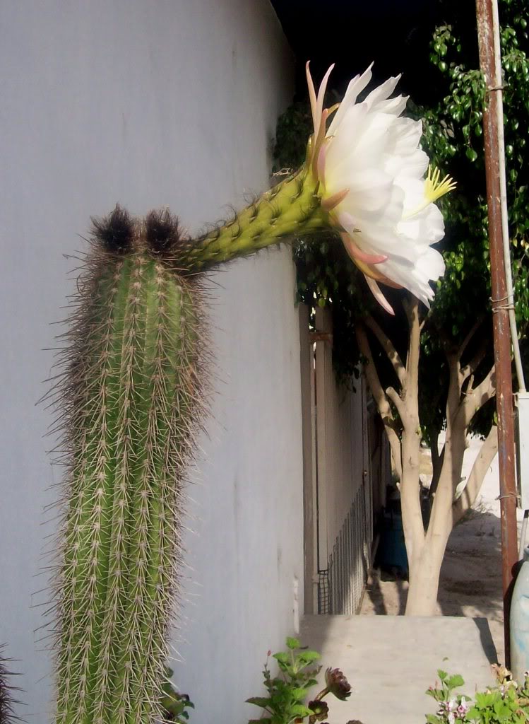 102_6750.jpg