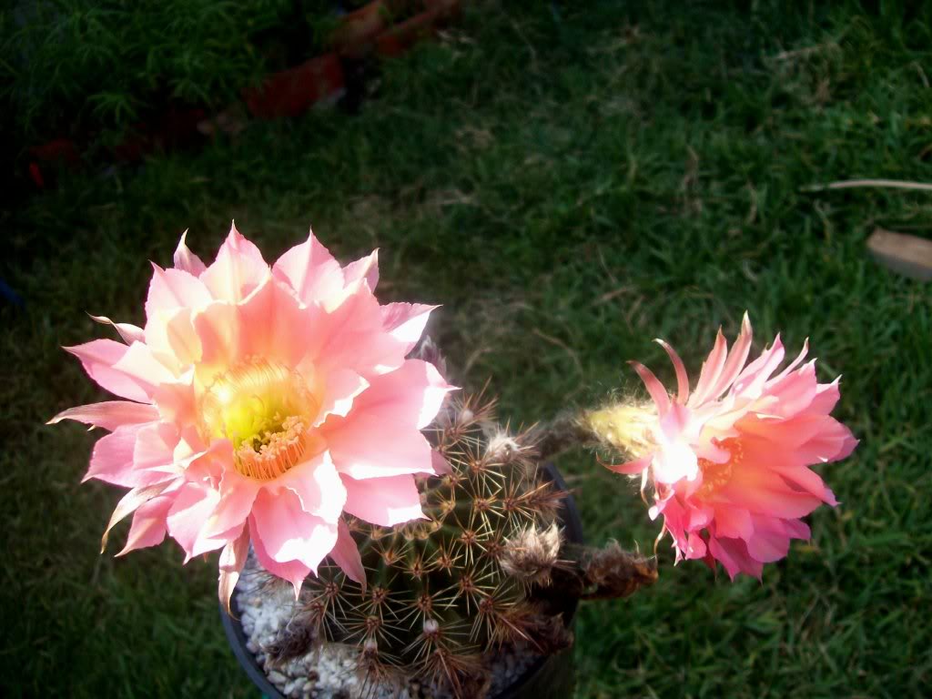 102_6773.jpg