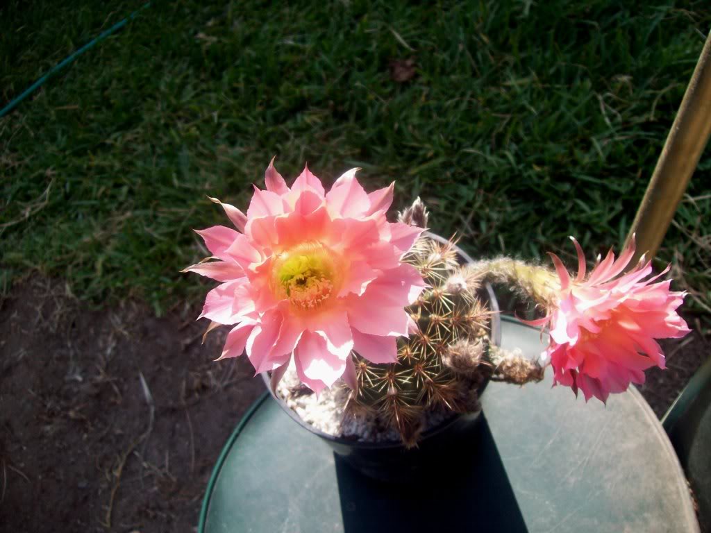 102_6774.jpg