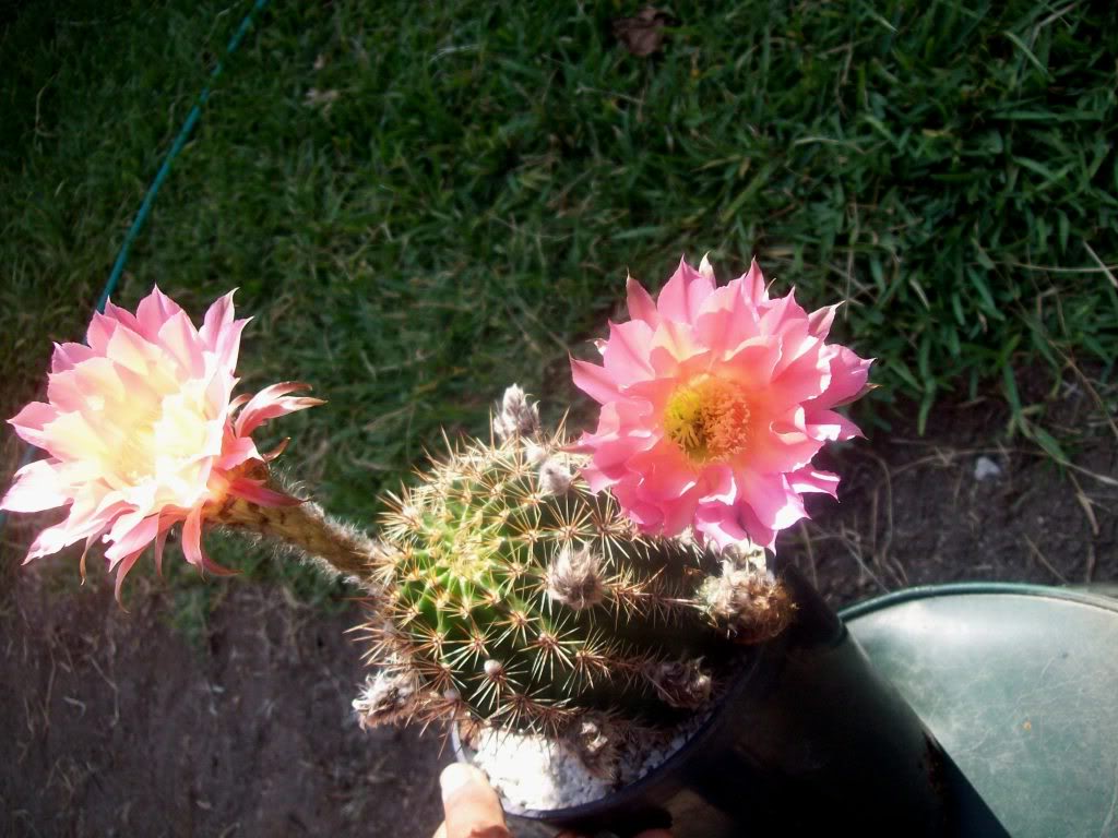 102_6775.jpg