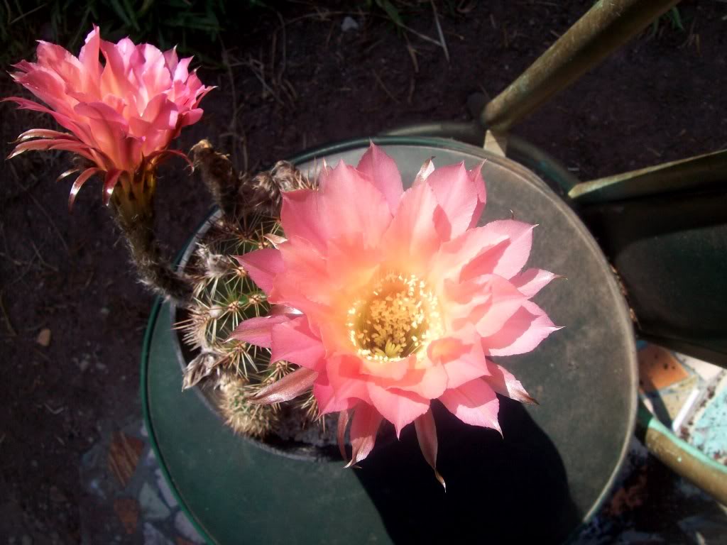 102_6777.jpg