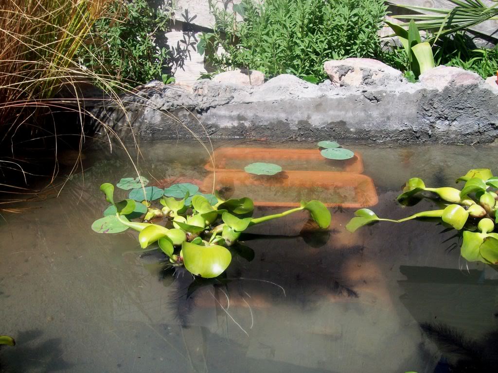 102_7325.jpg