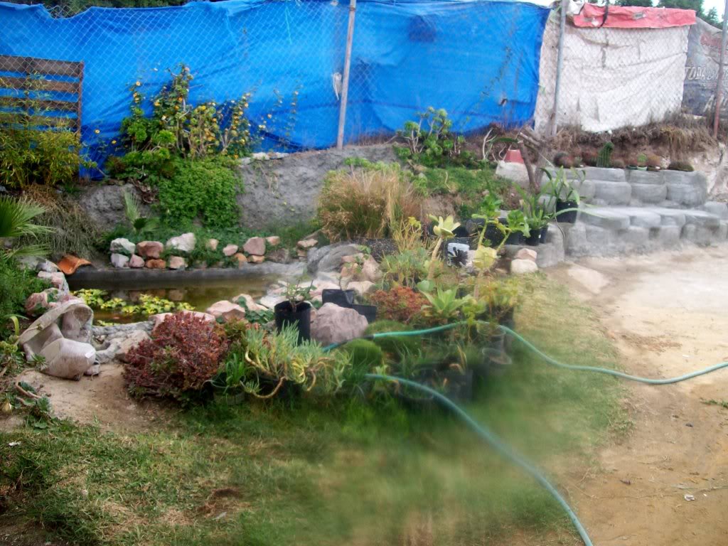 102_7493.jpg