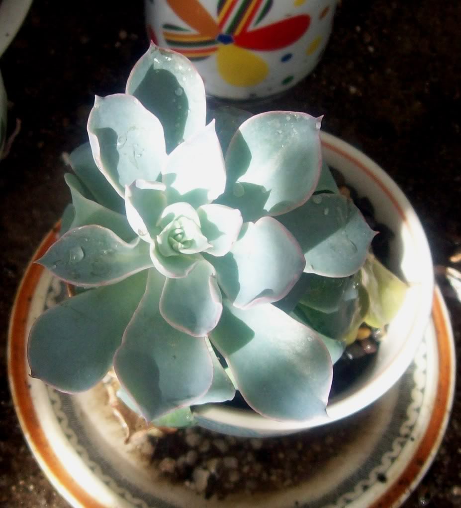 102_8022.jpg